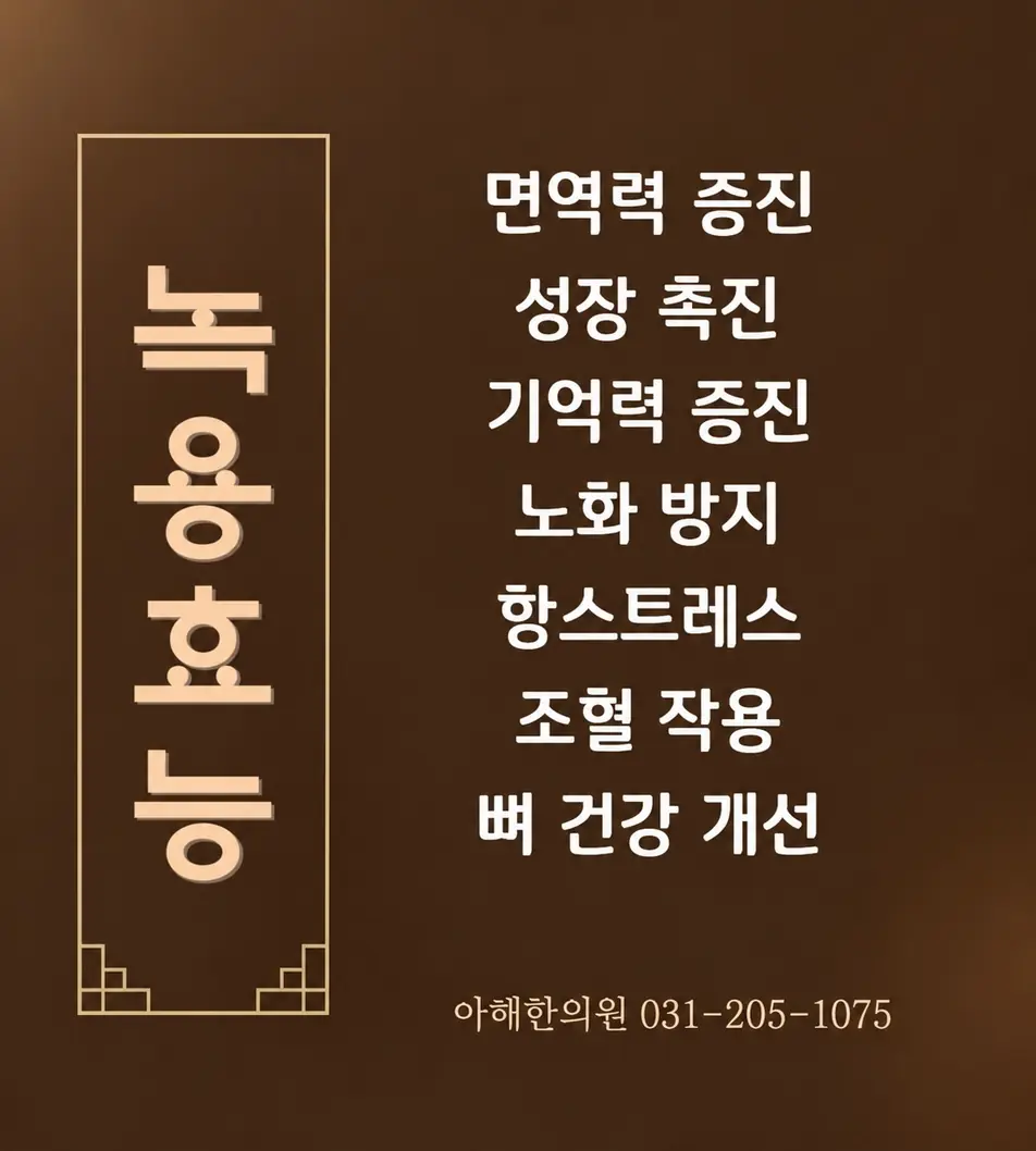 녹용 효능